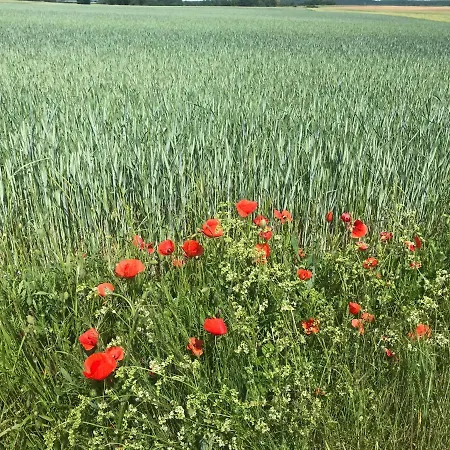 - - Sleeps 2 - Parking *