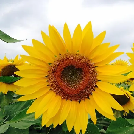 بيت للعطل - - Sleeps 2 - Parking *