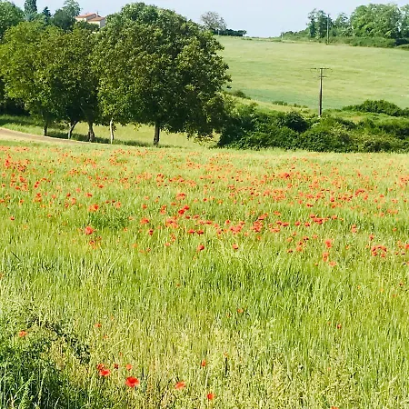 - - Sleeps 2 - Parking بيت للعطل