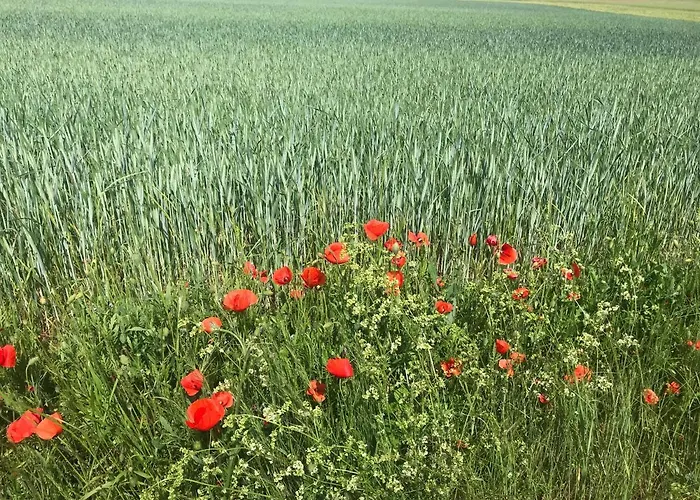 - - Sleeps 2 - Parking *