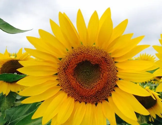 Сasa de vacaciones - - Sleeps 2 - Parking *